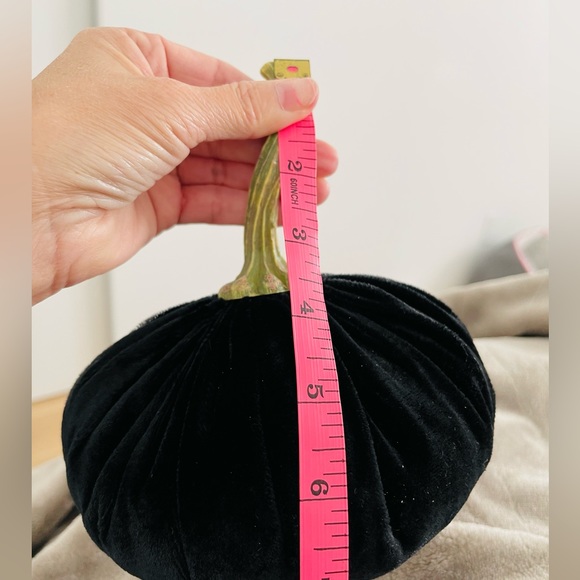Pumpkin Velvet Decoration color black Weighted(0.11.3oz) 8"x 8” New without tag - Picture 7 of 15